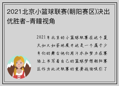 2021北京小篮球联赛(朝阳赛区)决出优胜者-青瞳视角