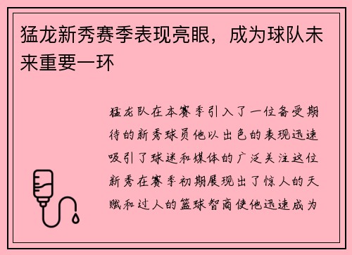 猛龙新秀赛季表现亮眼，成为球队未来重要一环